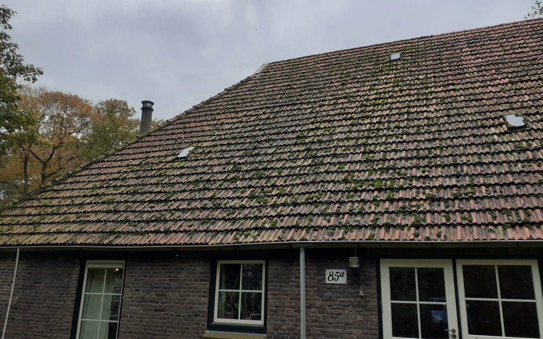 Dak renovatie en interne verbouw Blesdijke